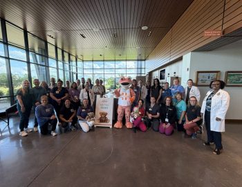 Teddy Bear Clinic | Gateway Hancock Health